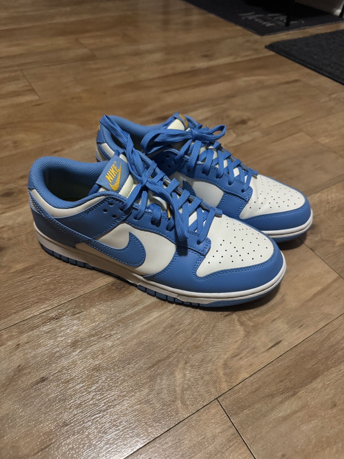 Nike Low Coast Dunks