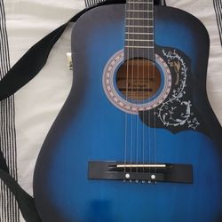 Vizcaya Guitar 