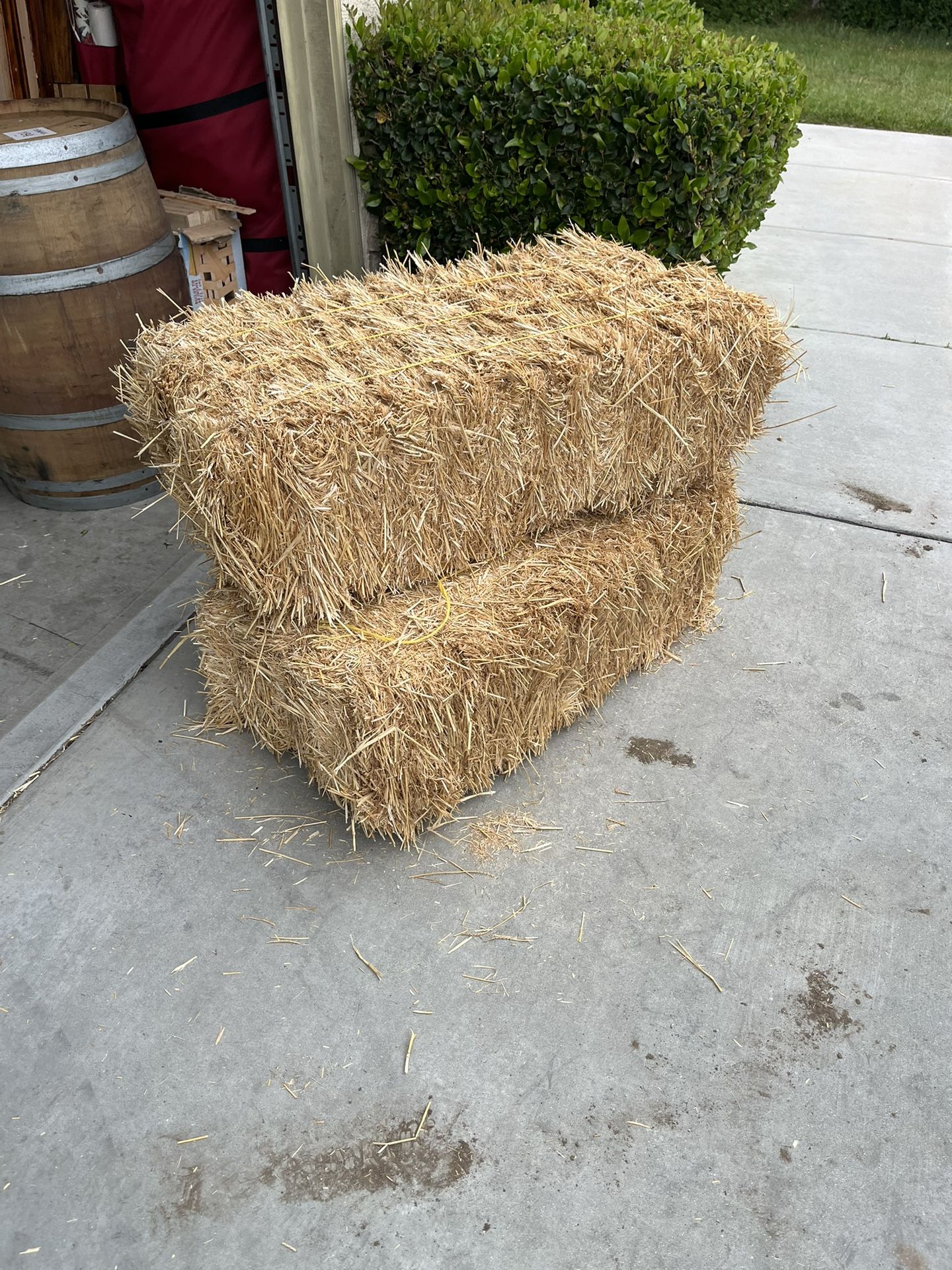 Paja / Hay