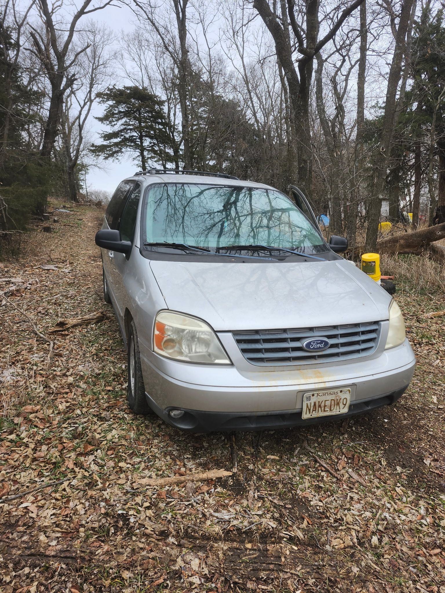 2004 Ford Freestar