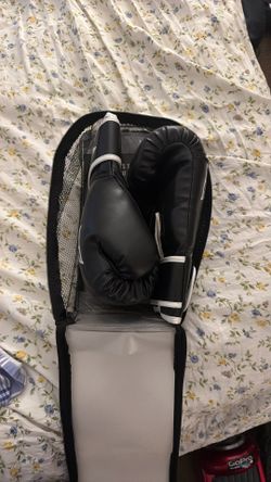 Everlast Boxing Gloves