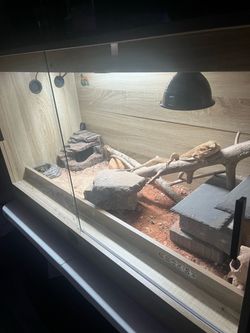Reptile enclosure + Lamps