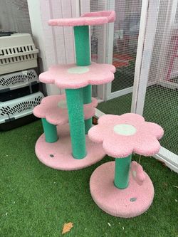 Cat Tree Scratch Posts