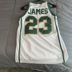 LeBron James Jersey