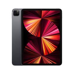 Apple iPad Pro m1 11 inch Space Gray