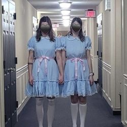 (2) Set Of Two Creepy Twins Costume - The shining Grady Twins Vintage Dress Size 3XL -Used