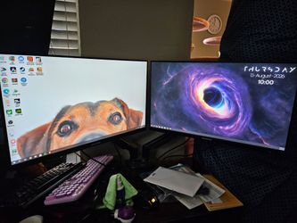 Dual 27 in monitor with desk mount