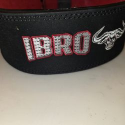 Weight Lifting Belt