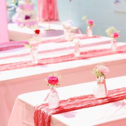Pink Cheesecloth 12
