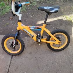 12" EVEREST AIR BLAST BIKE