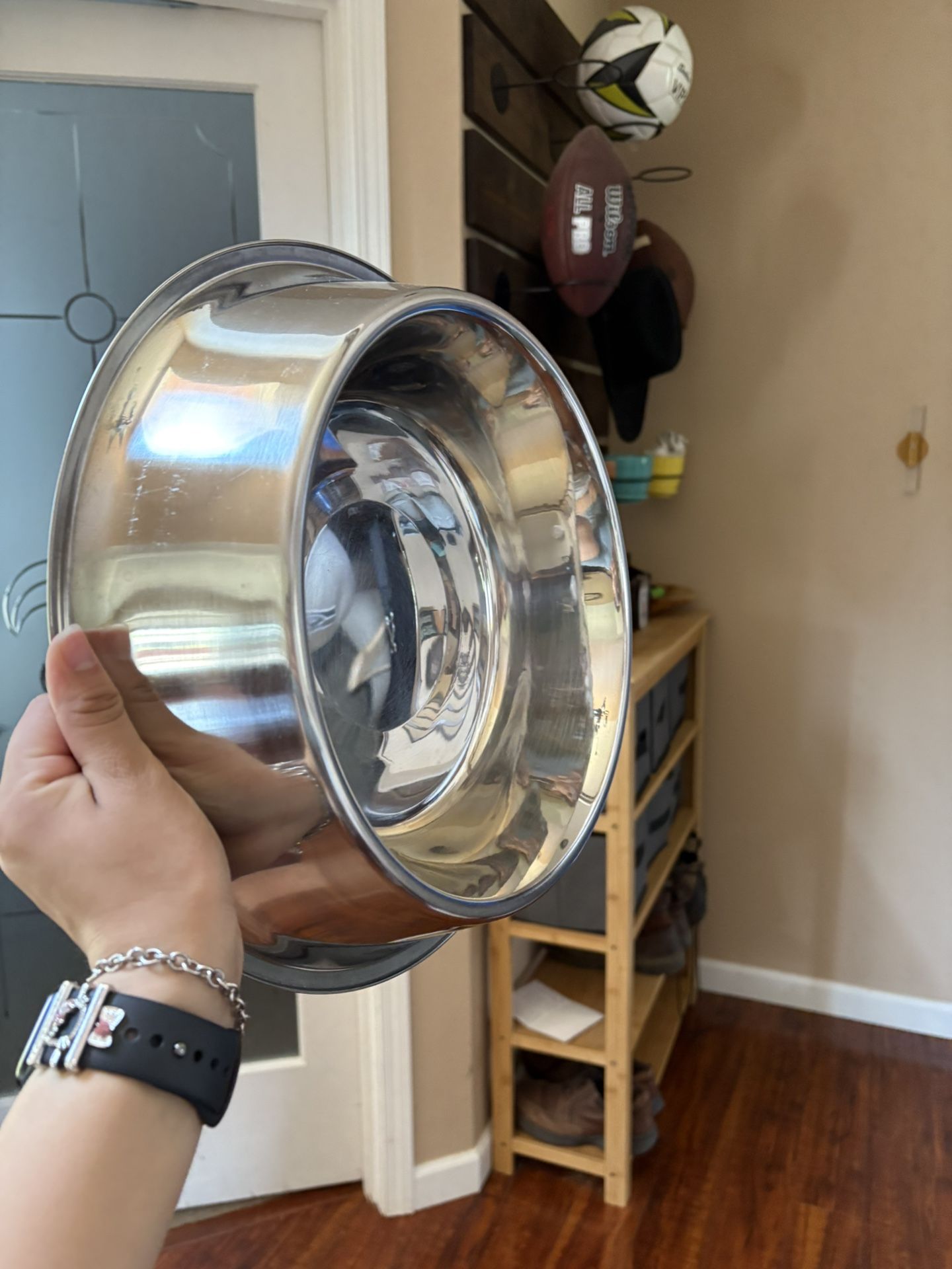 Large Dog Bowl