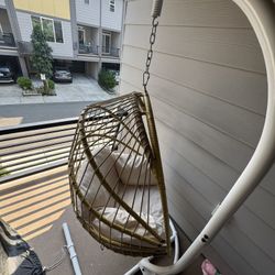 Hanging Egg Chair 