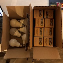 14 Bulbs For Sale
