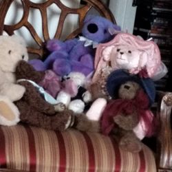 Plush Bears