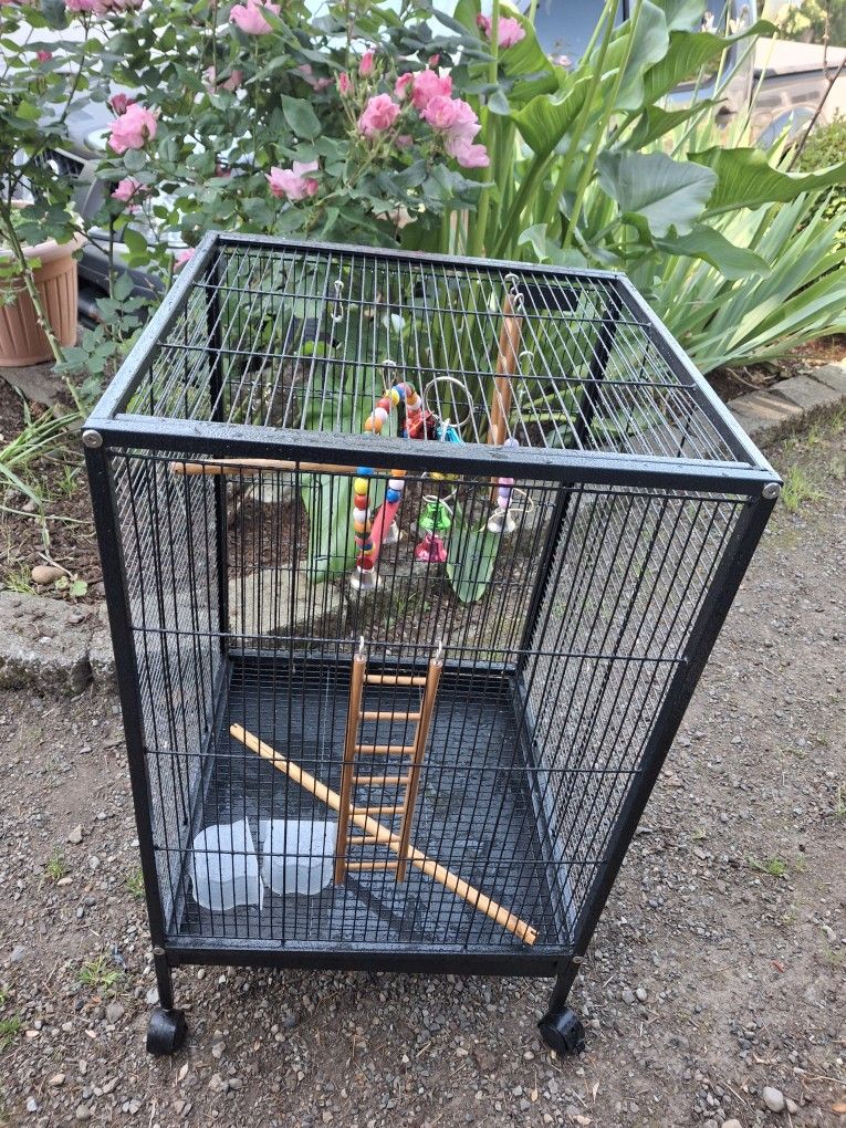 Birds Cage