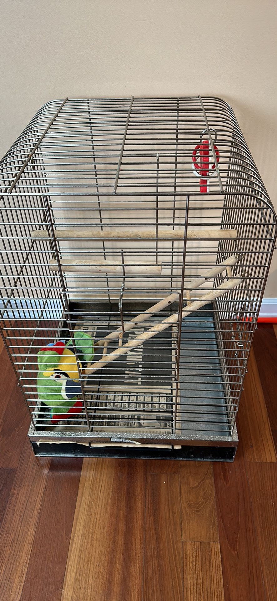 Bird Parrot Cage