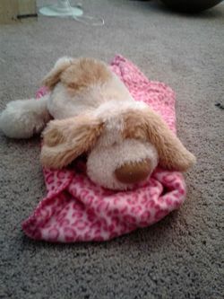 Blanket with stuffed dog