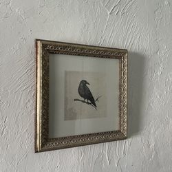 Framed Bird Print (Gold Frame)