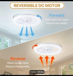 Modern ceiling fan with light