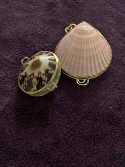 Sea shell