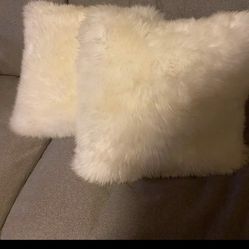 Nice Fluffy White Pillows