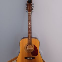 Cort Earth 100 Acoustic guitar 