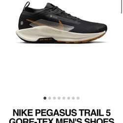 NIKE PEGASUS TRAIL 5 GORE-TEX MEN'S SHOES Size 9
