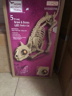 Home Accents Holiday 5 ft LED Skeleton Cat
