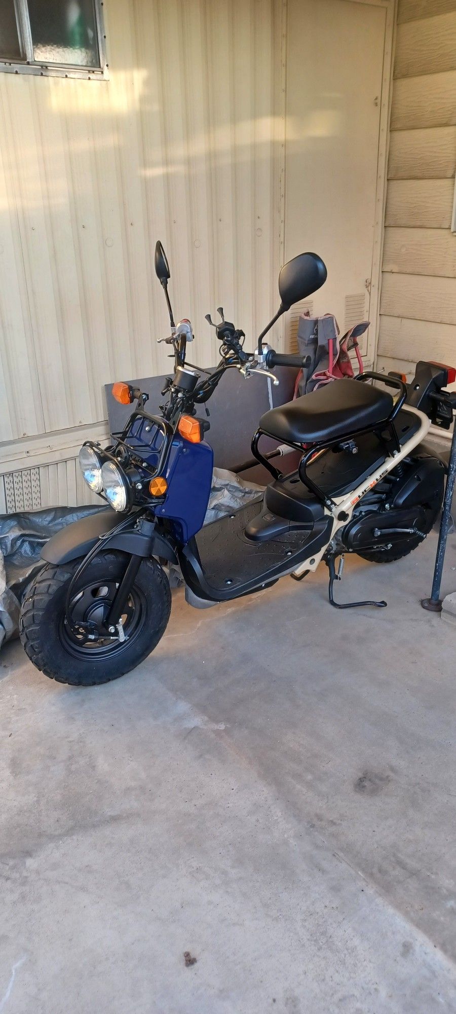 2023 Honda Ruckus