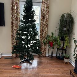 Free Christmas Tree