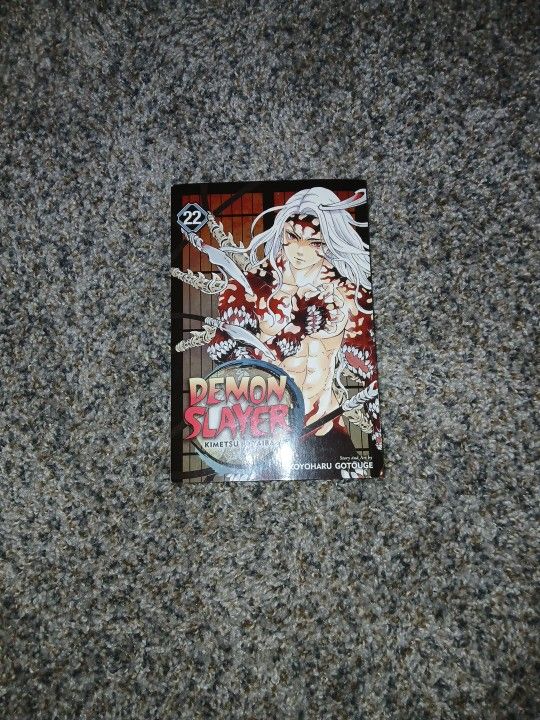 Demon Slayer Manga Chapter 22