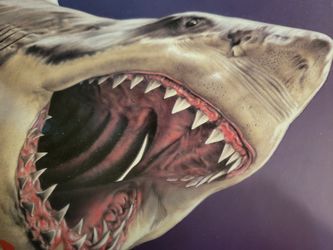 Shark Week Just Got Real!
NEW "Sharks & Other Creatures Of The Deep" Hardcover - Only $10!