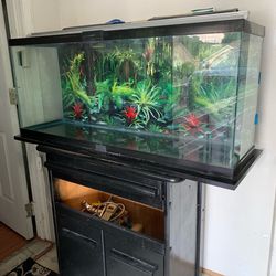 55 Gallon Tank Aquarium Set