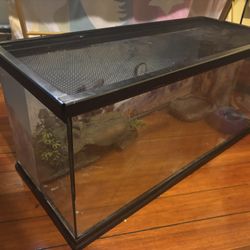 20 gallon Reptile Tank 