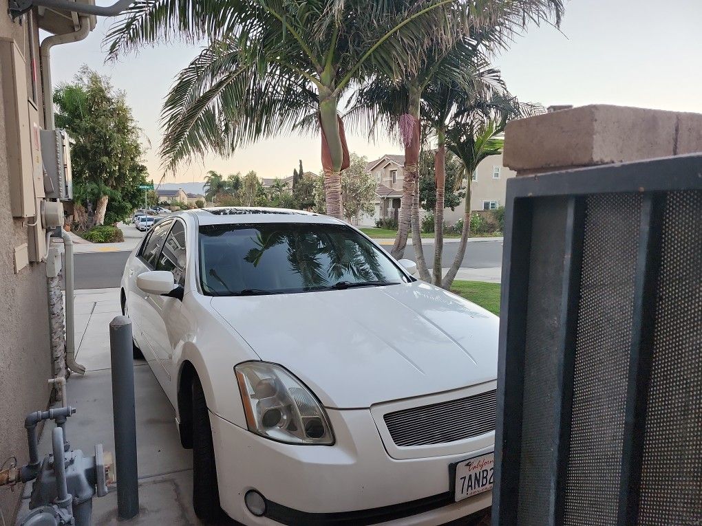 2005 Nissan Maxima