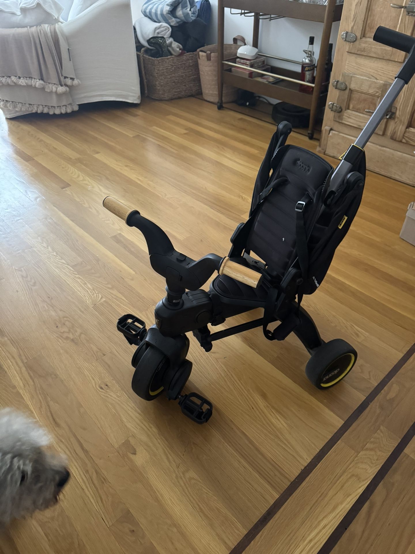 Doona Trike