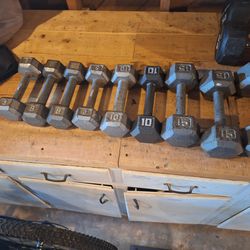 Assorted Weights and Workout Equipment