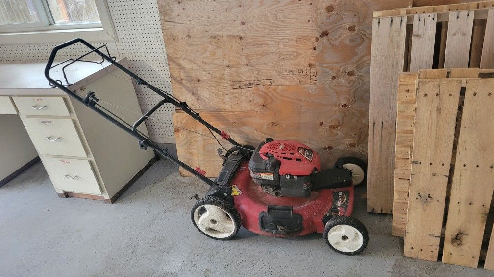 Roto Lawnmower 