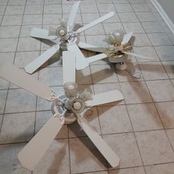 Ceiling Fans 