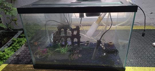 Fish Aquarium Tank