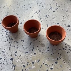 Planters 