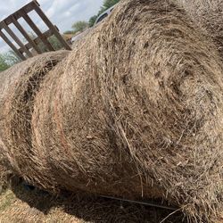 Round Hay Bails