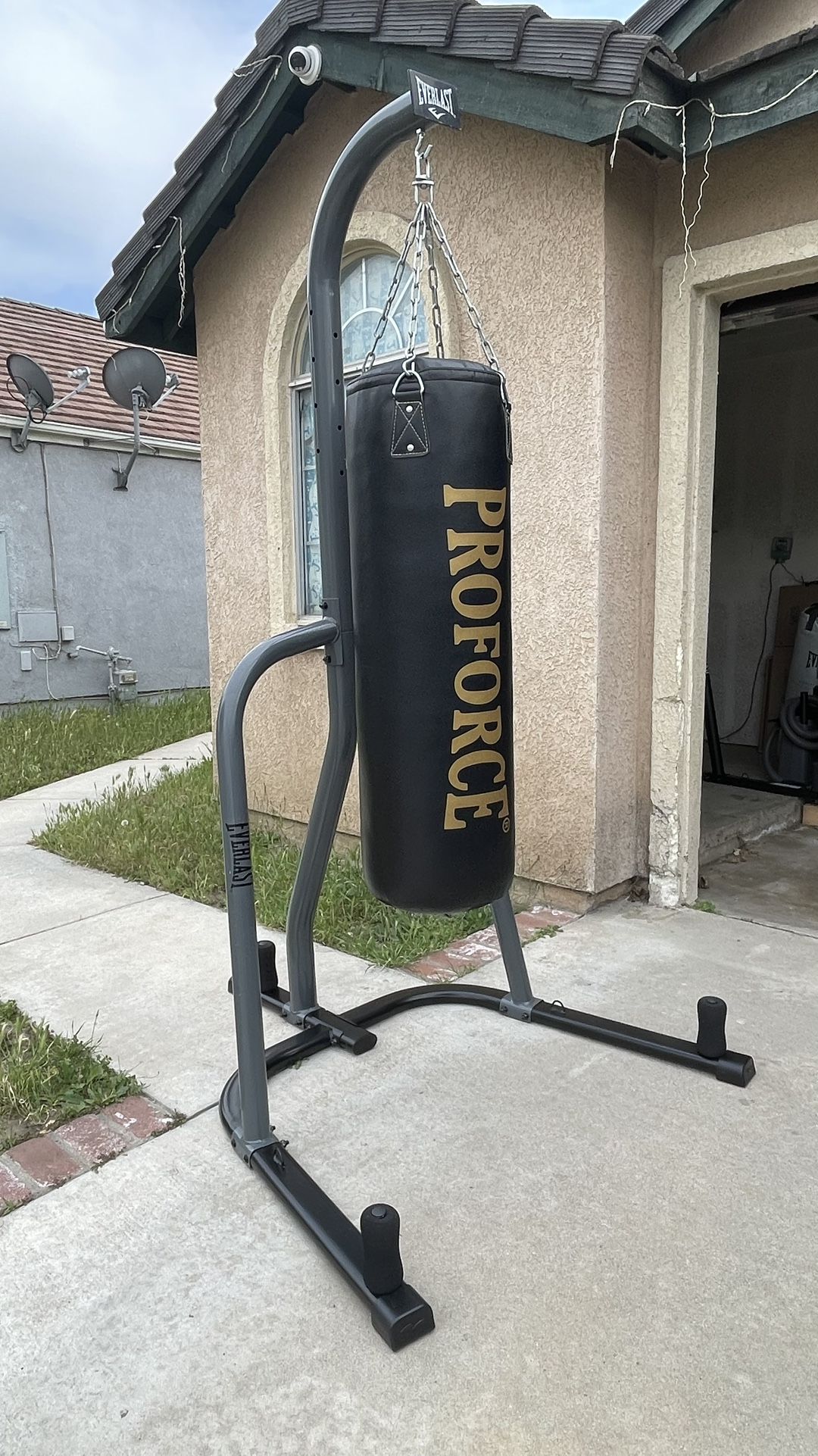 Punching Bag and Stand