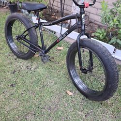 Sun Spider Bike Firm 