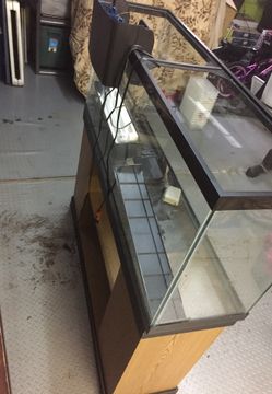 Salt or fresh water fish tank