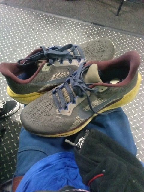 Nike Pegasus Zoom Size 11