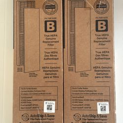 GermGuardian True HEPA Air Purifier Filter Size B (FLT4825) Set Of 2
