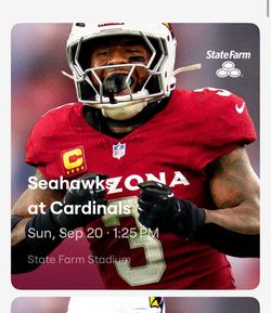 Cardinals vs Seahawks ((Lower Lvl))