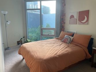 Pumpkin queen duvet set