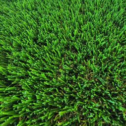 Turf For Sale